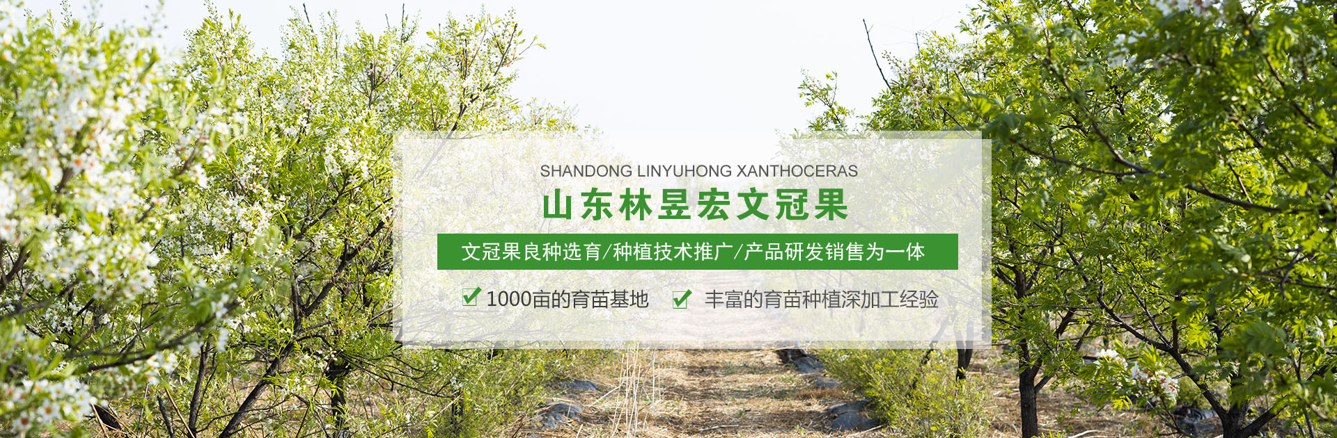 正版马内部传真资料